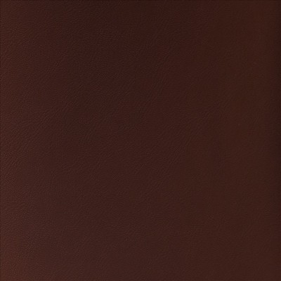 Kasmir TOP TIER         RAISIN          